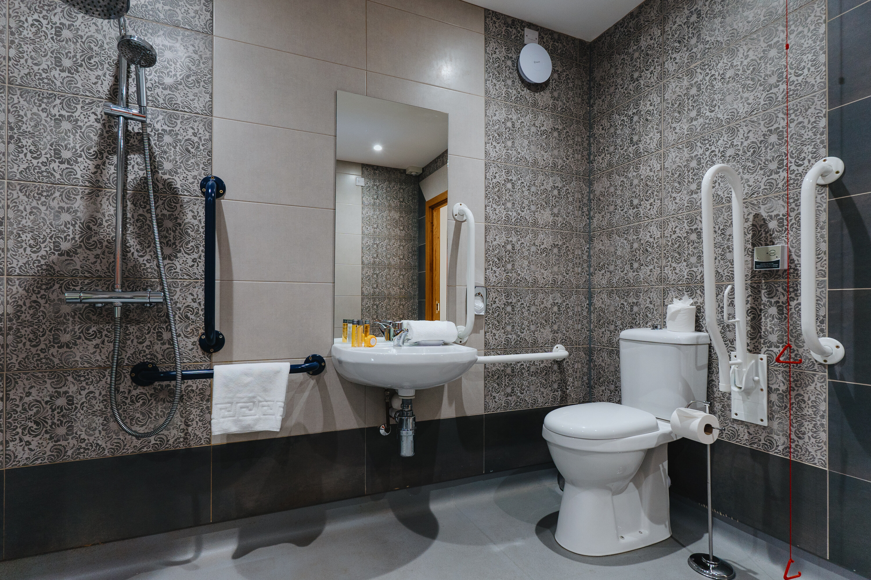 Lanelay Hall Hotel & Spa Accessible Bathroom