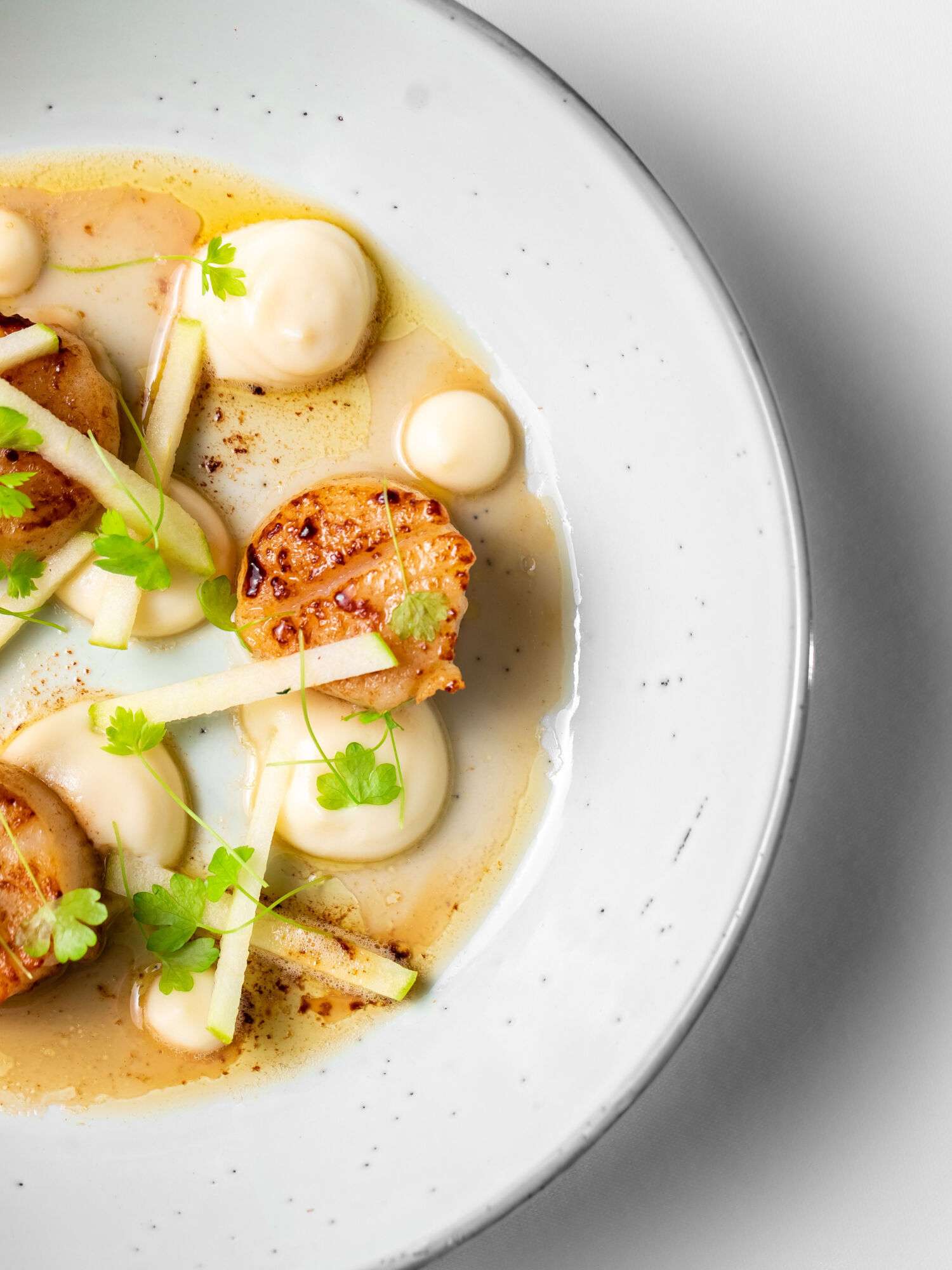 Scallops